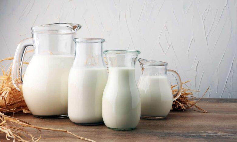 Dairy products manufacturers in india