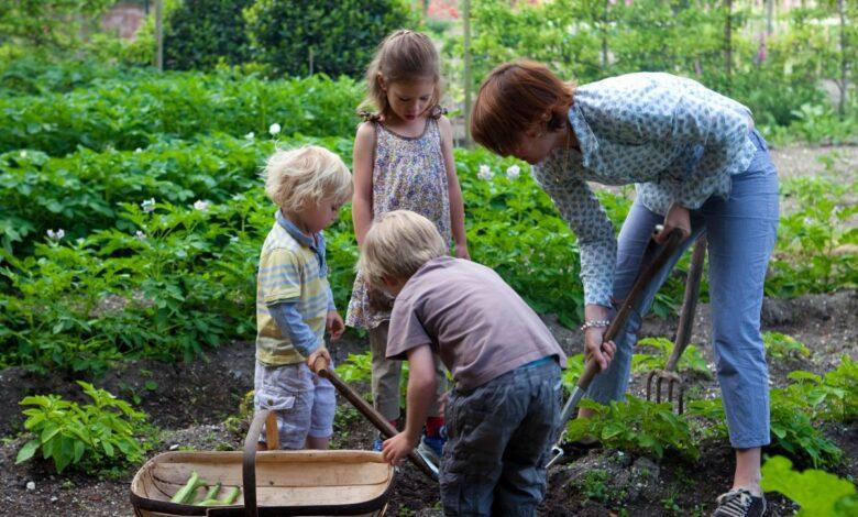The Benefits of Gardening for Mental Health