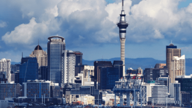 New Zealand Travels