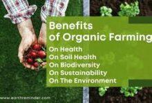 Benefits of Organic Farming