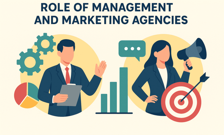 Role of Management and Marketing Agencies